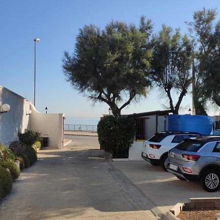 Seagull Apartments - Front And Sea View & Airport Bari Bagian luar foto