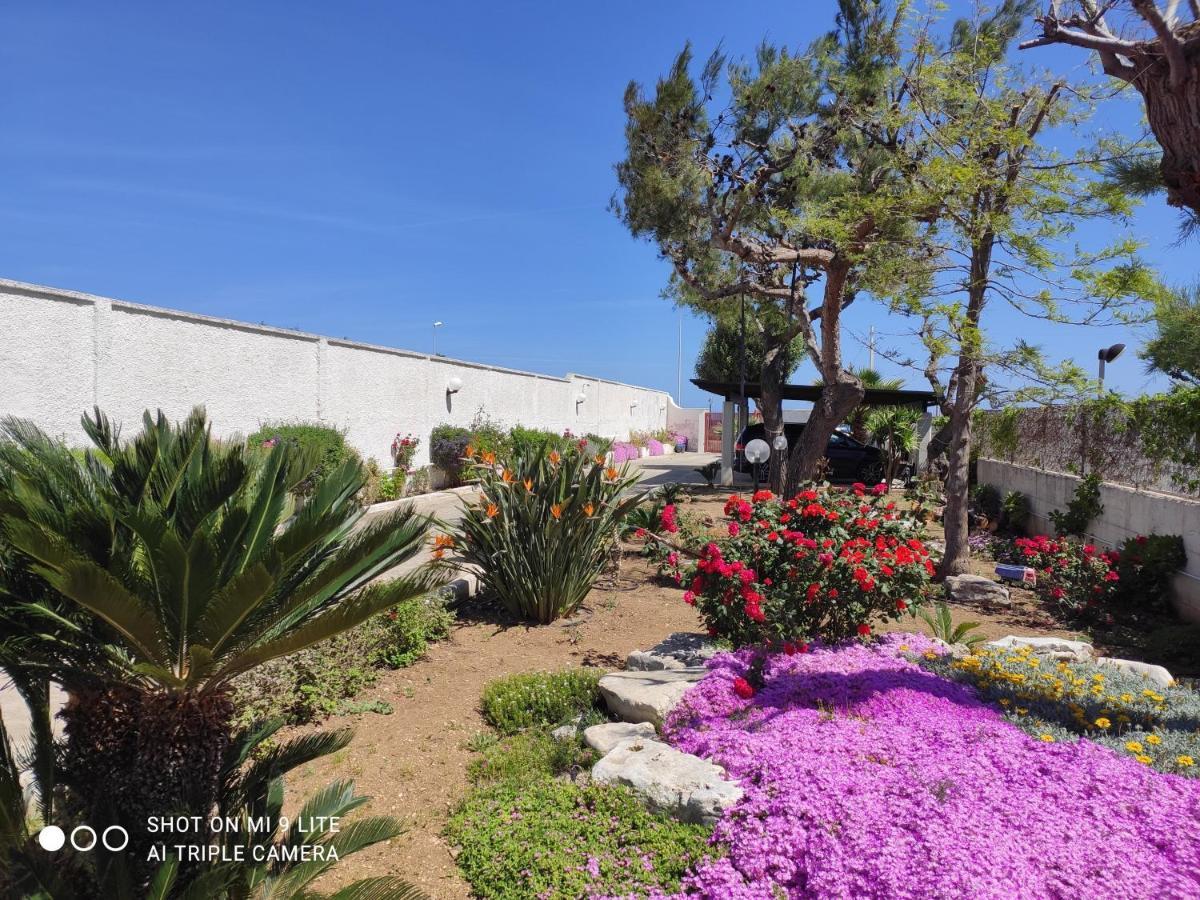 Seagull Apartments - Front And Sea View & Airport Bari Bagian luar foto