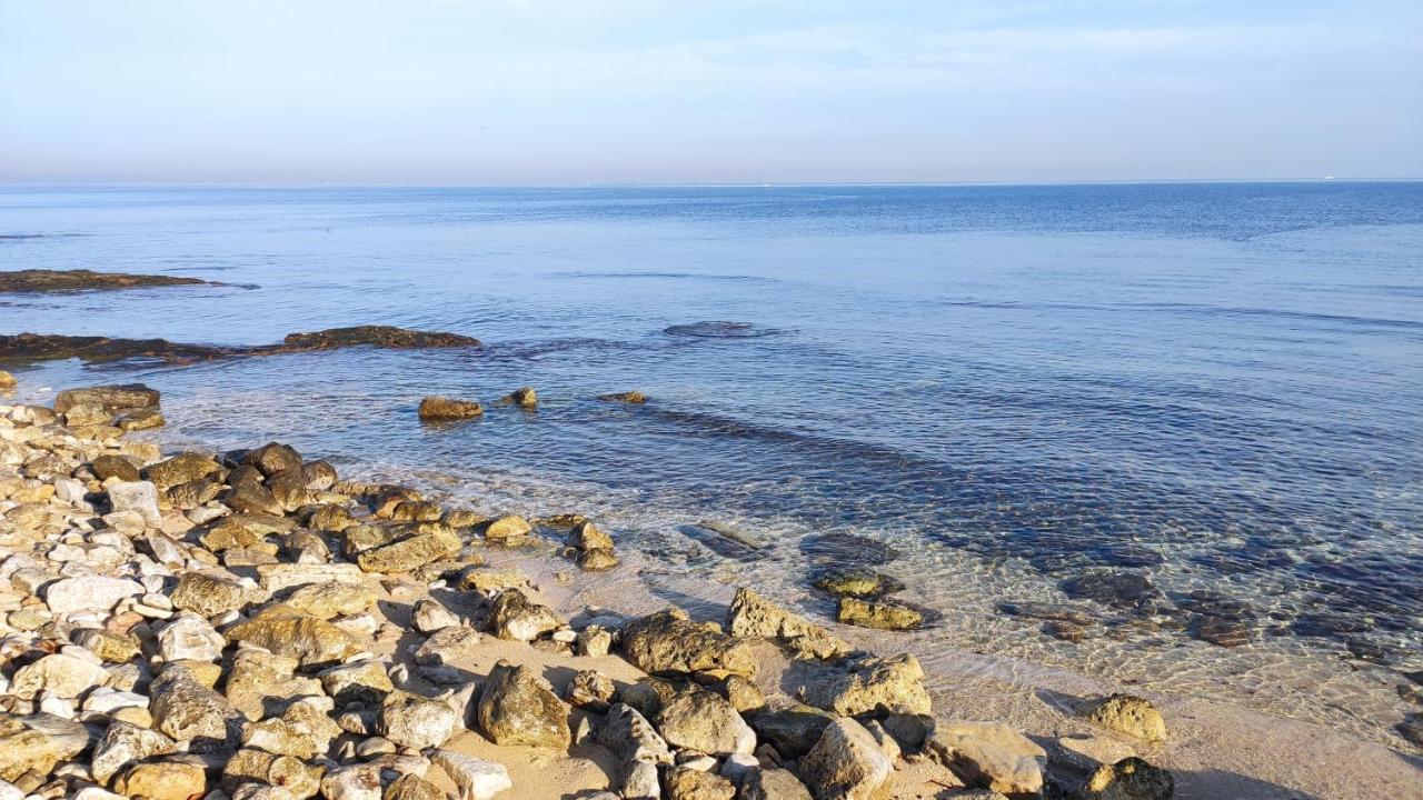 Seagull Apartments - Front And Sea View & Airport Bari Bagian luar foto