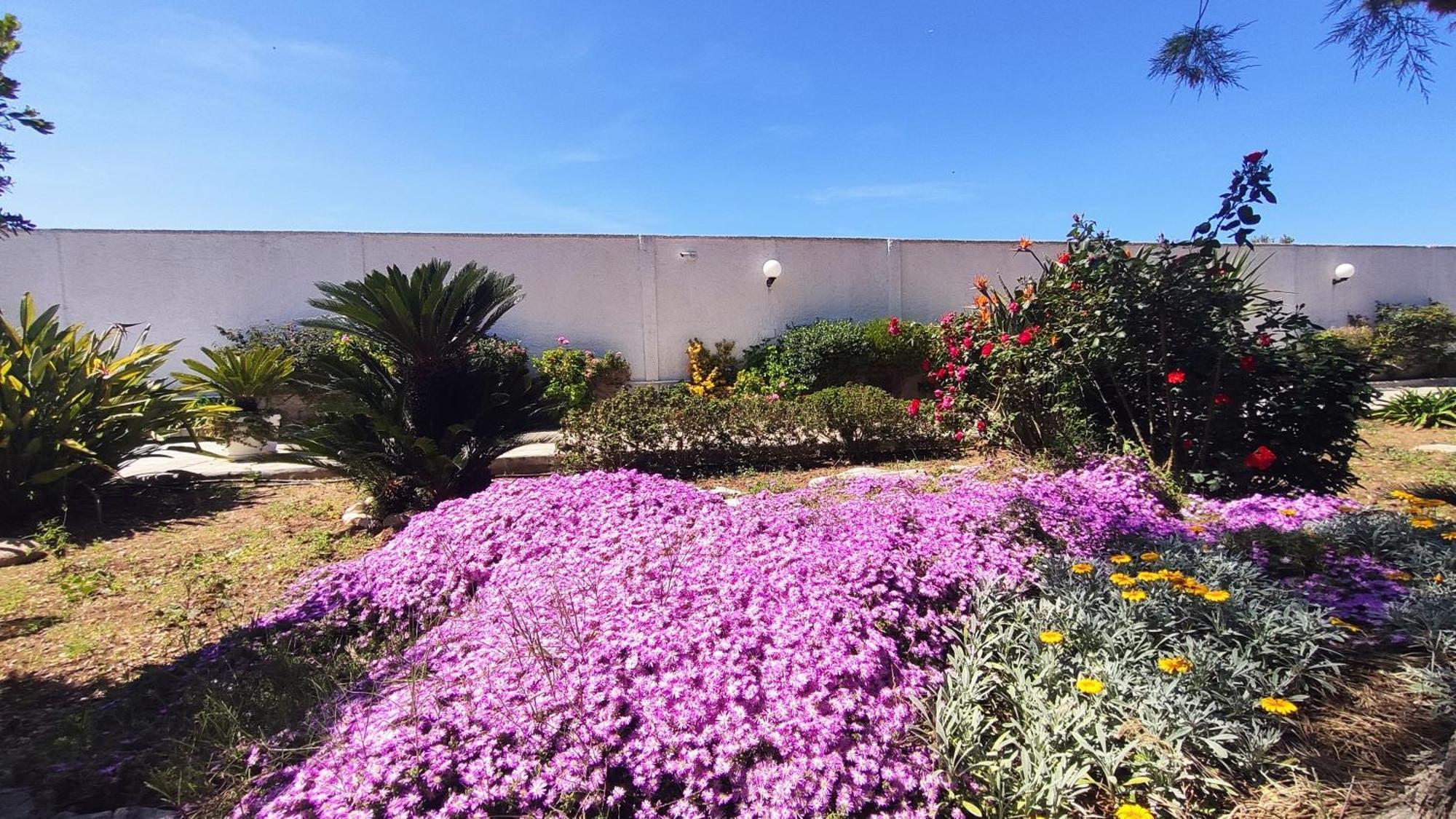 Seagull Apartments - Front And Sea View & Airport Bari Bagian luar foto