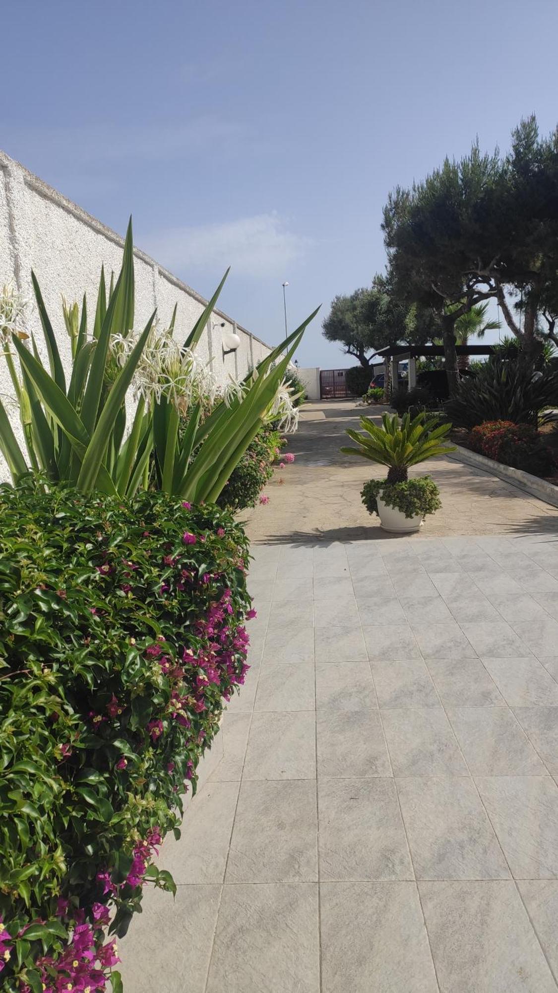 Seagull Apartments - Front And Sea View & Airport Bari Bagian luar foto